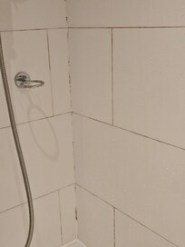 Horrible Bathroom Grout