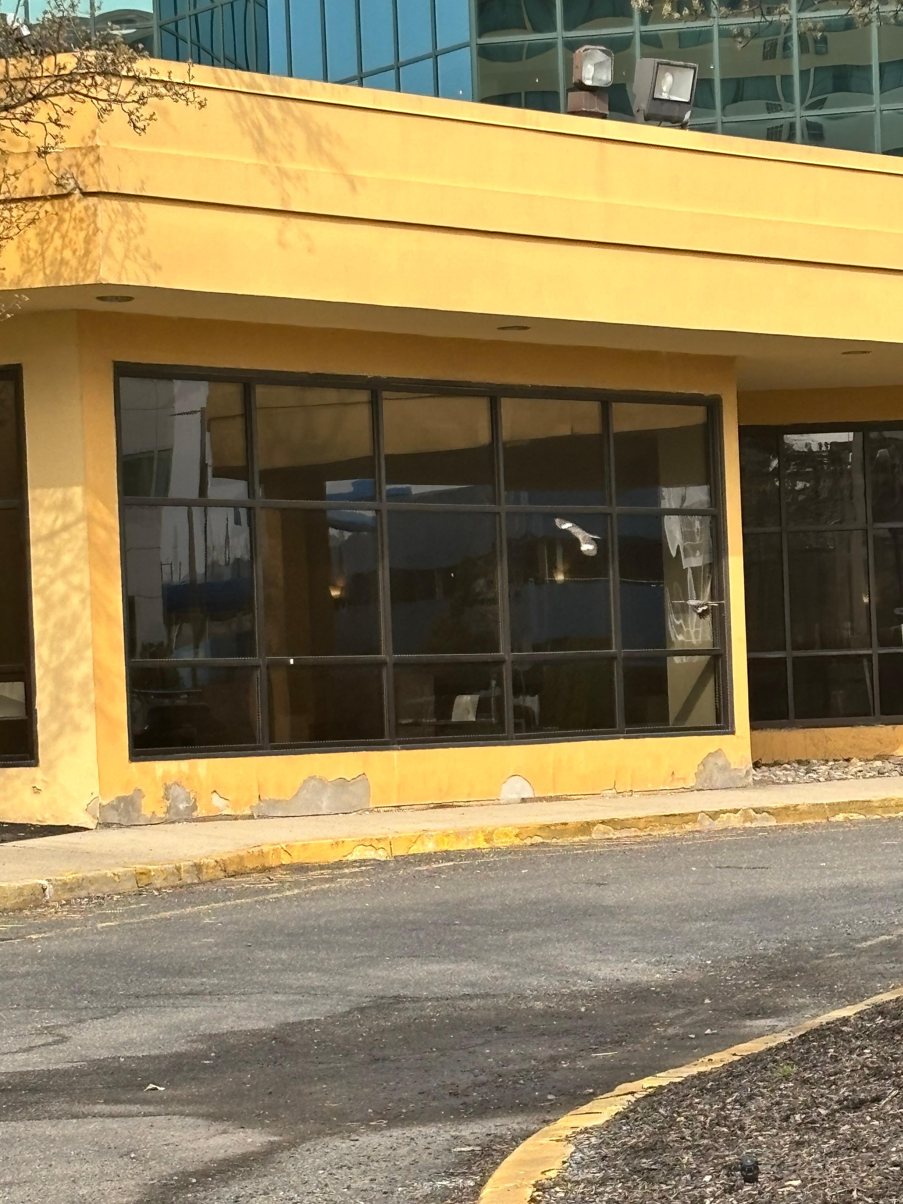 Paint peeling off the building 