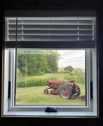 View from the window