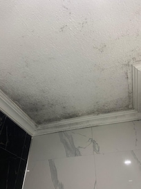 Mold in the bathroom/ shower