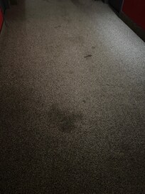 Floors in all hallways were disgusting