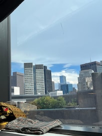 Room view