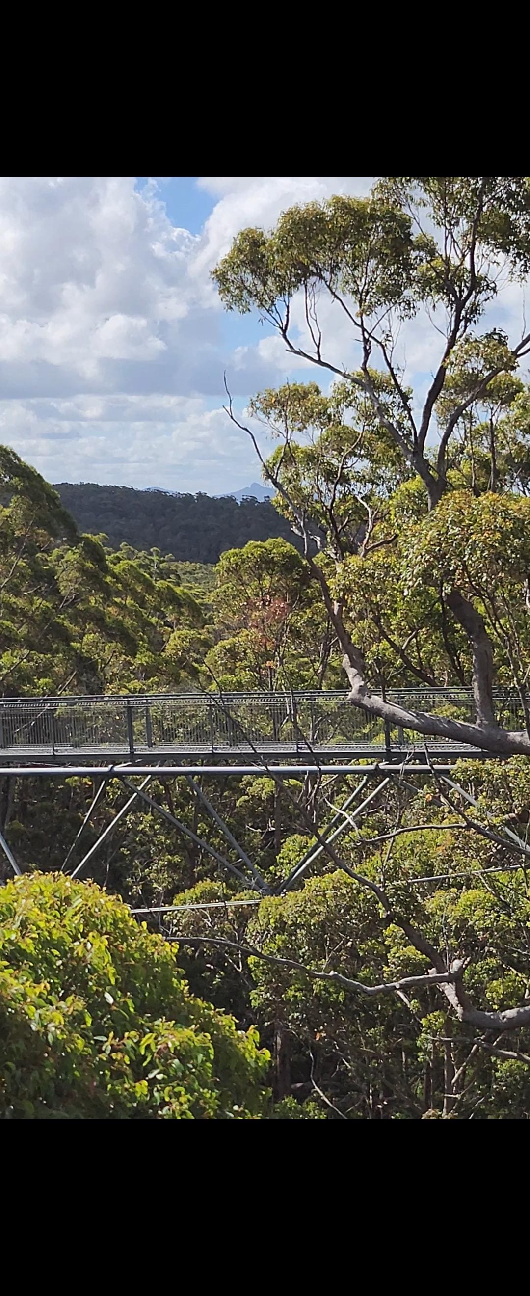 Valley of the Giants Treetop Walk, approx 85min drive from Quinninup