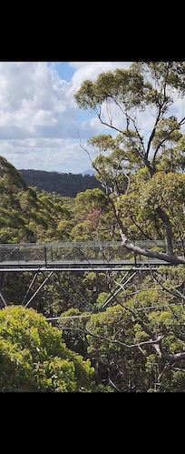 Valley of the Giants Treetop Walk, approx 85min drive from Quinninup