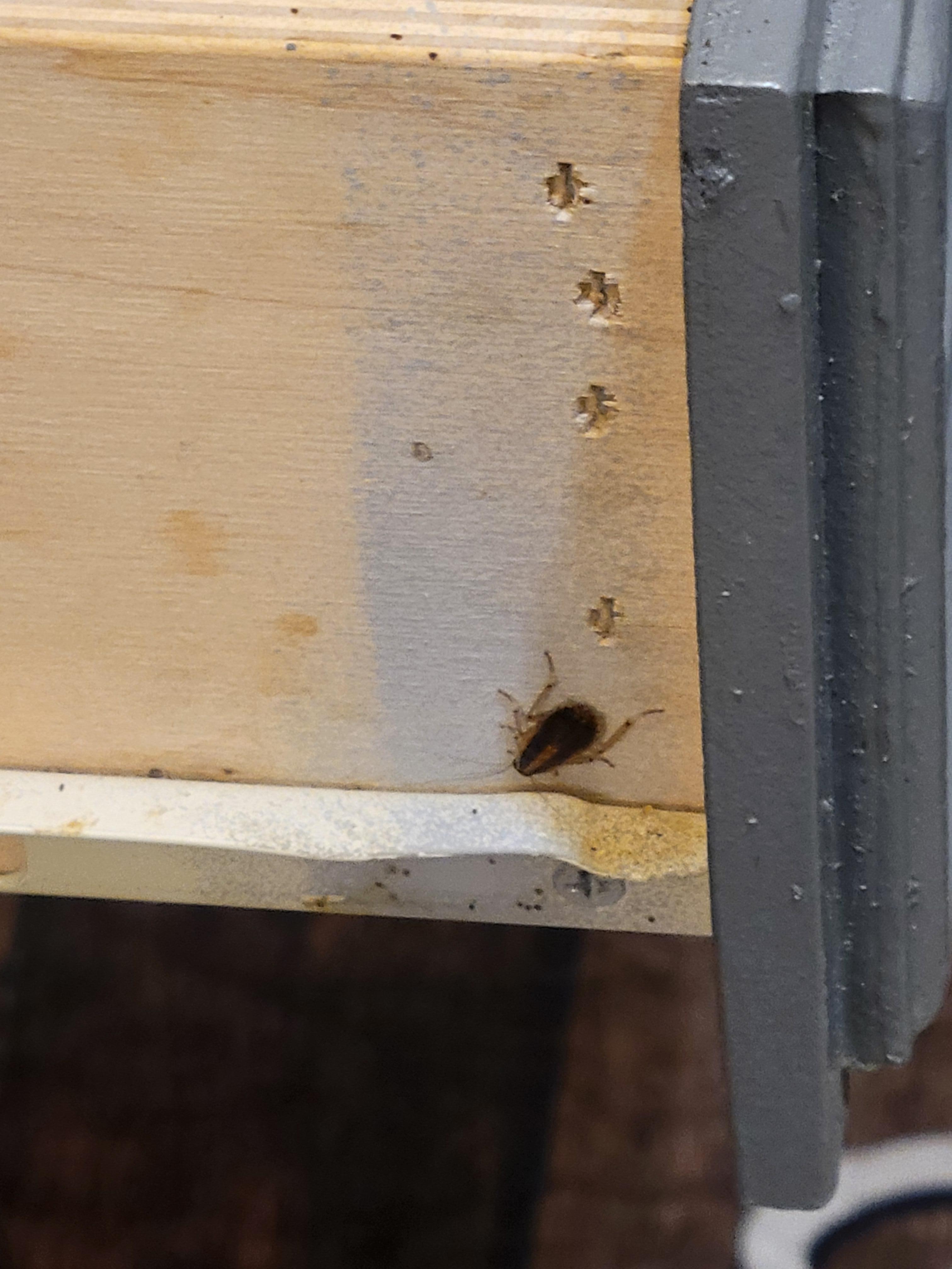 In the kitchen utensils drawer. Every night there was "at least" one or more present 