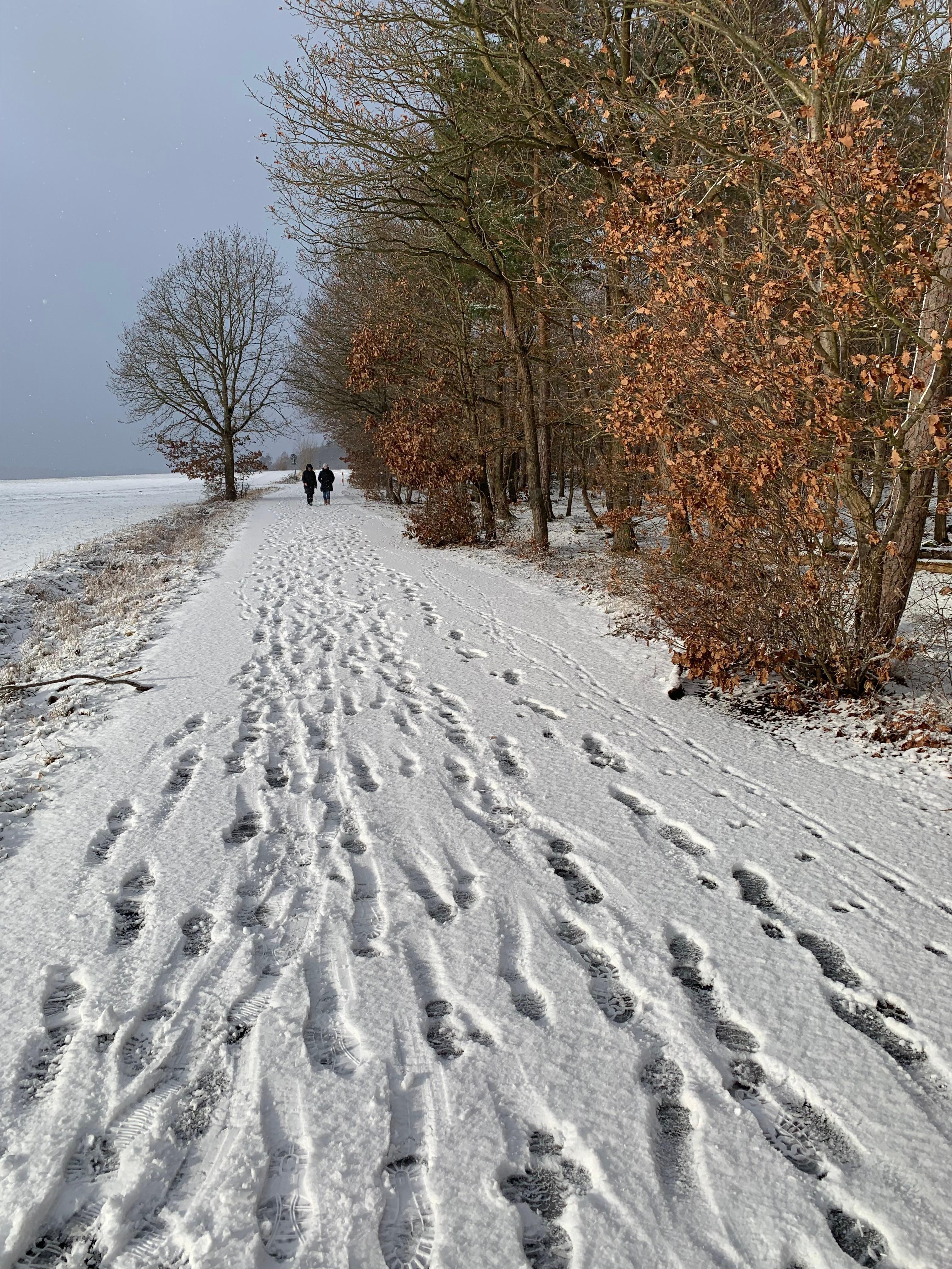 Spaziergang im Schnee