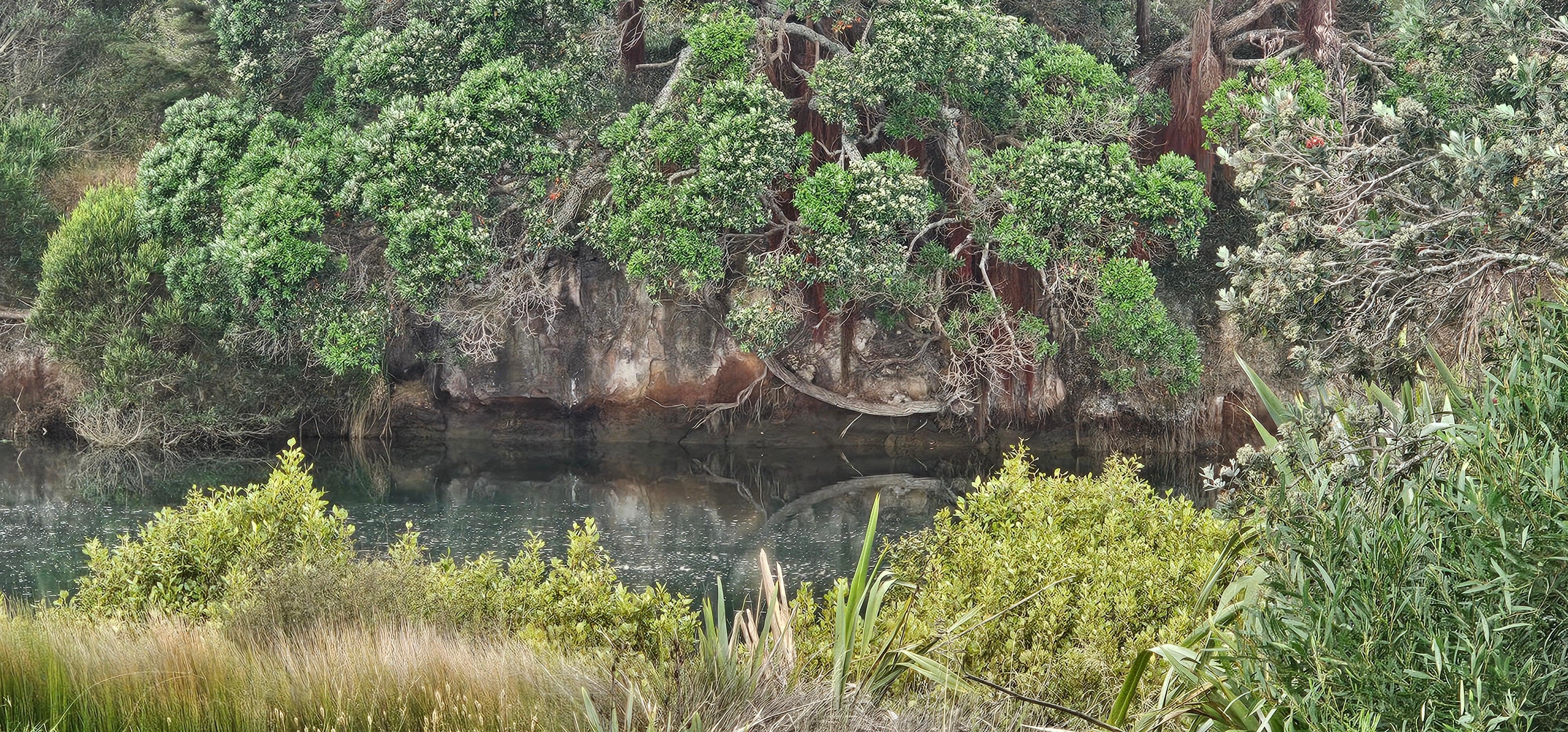 Tidal stream in the back yard!