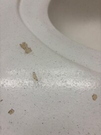 Chipped