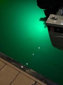 Green light fishing