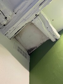 black mold, NOT very health