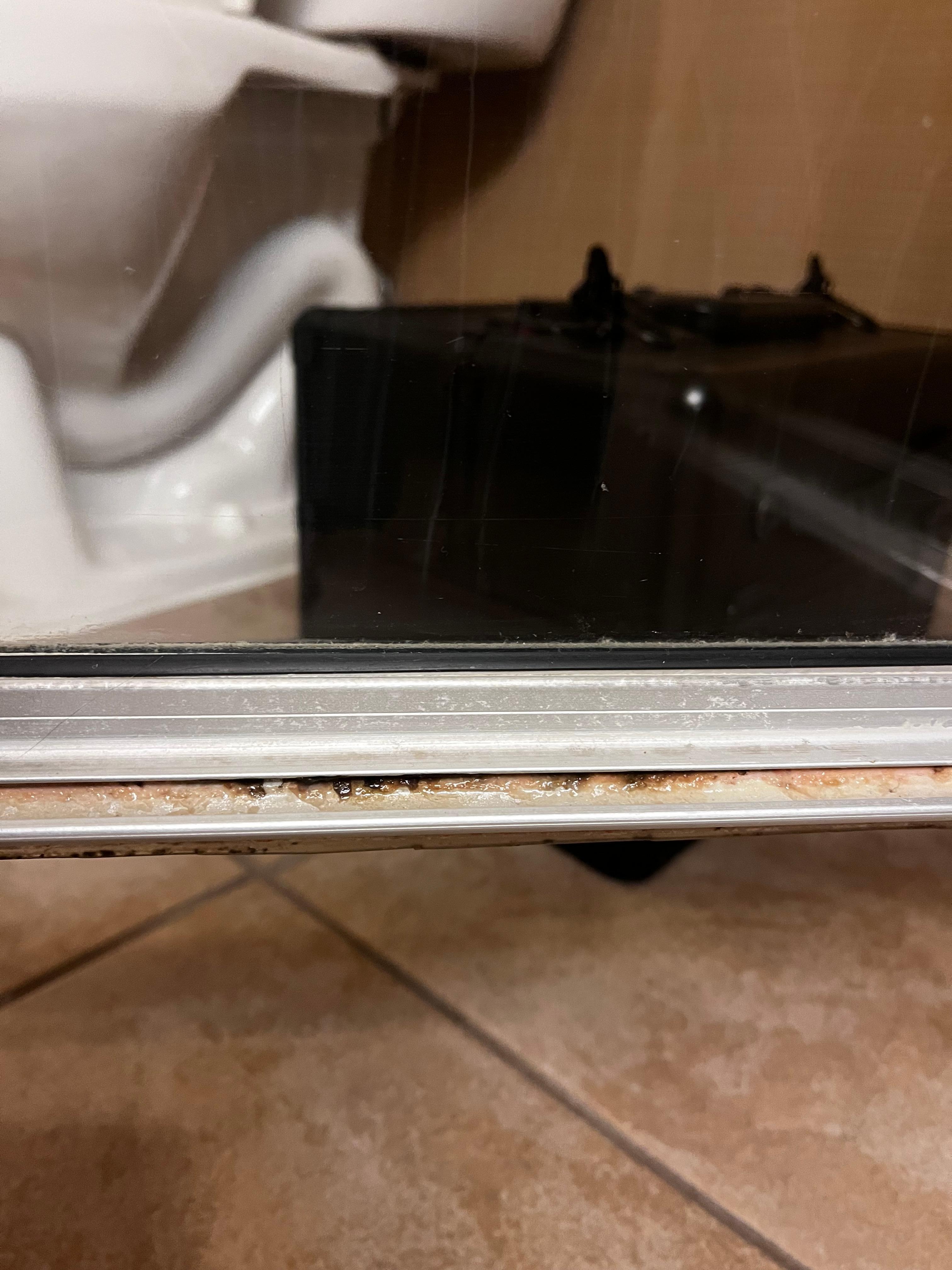 Bottom of shower door hasn’t even cleaned in idk how long. Just gross