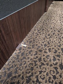 You too can enjoy this foul, dingy, 40yr old carpet.