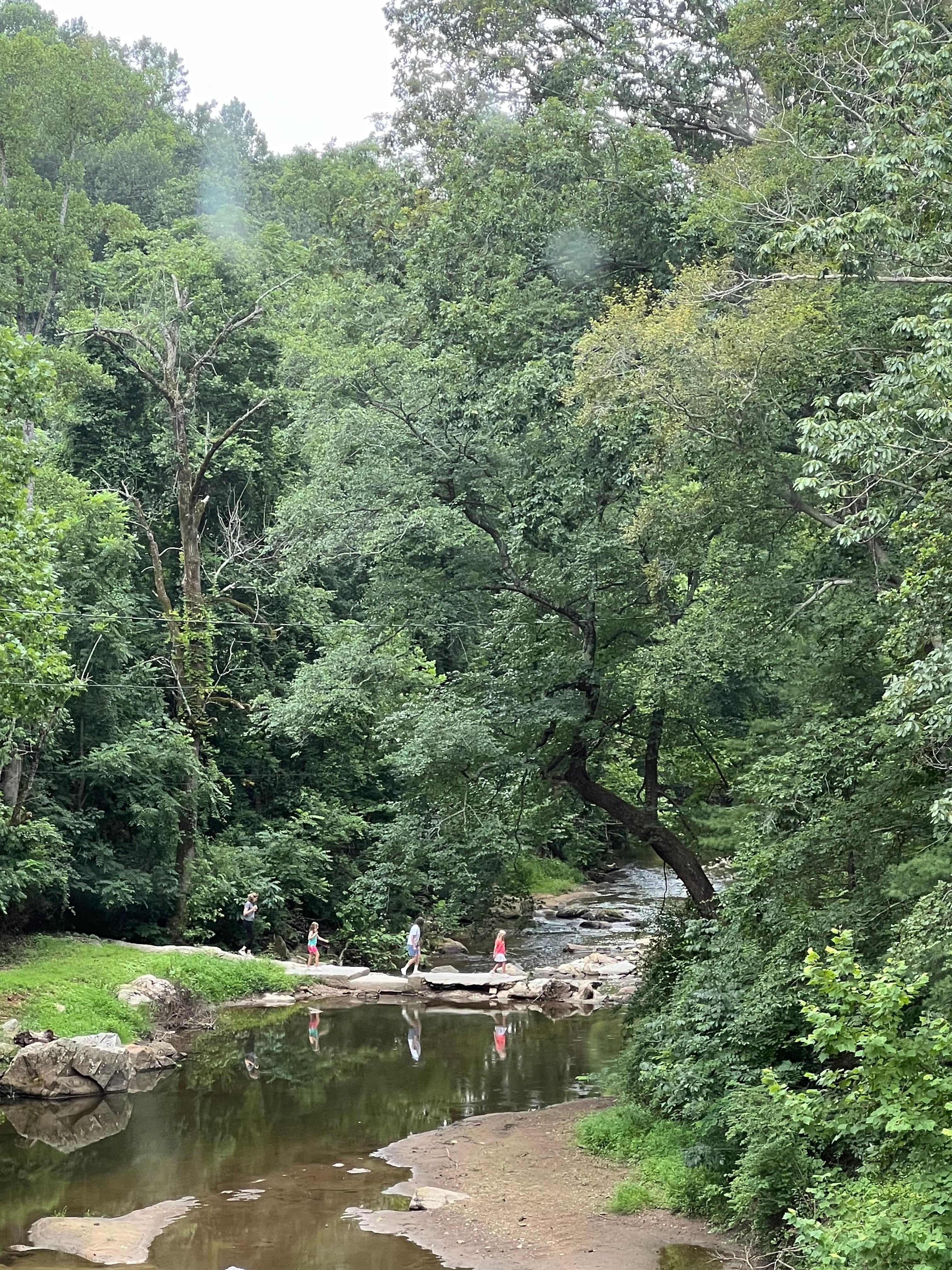 On a little explore. 