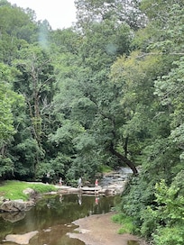 On a little explore.