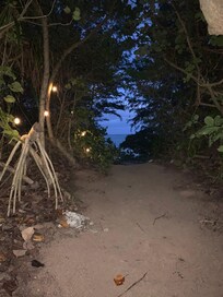 ビーチまでの小道が素敵です。