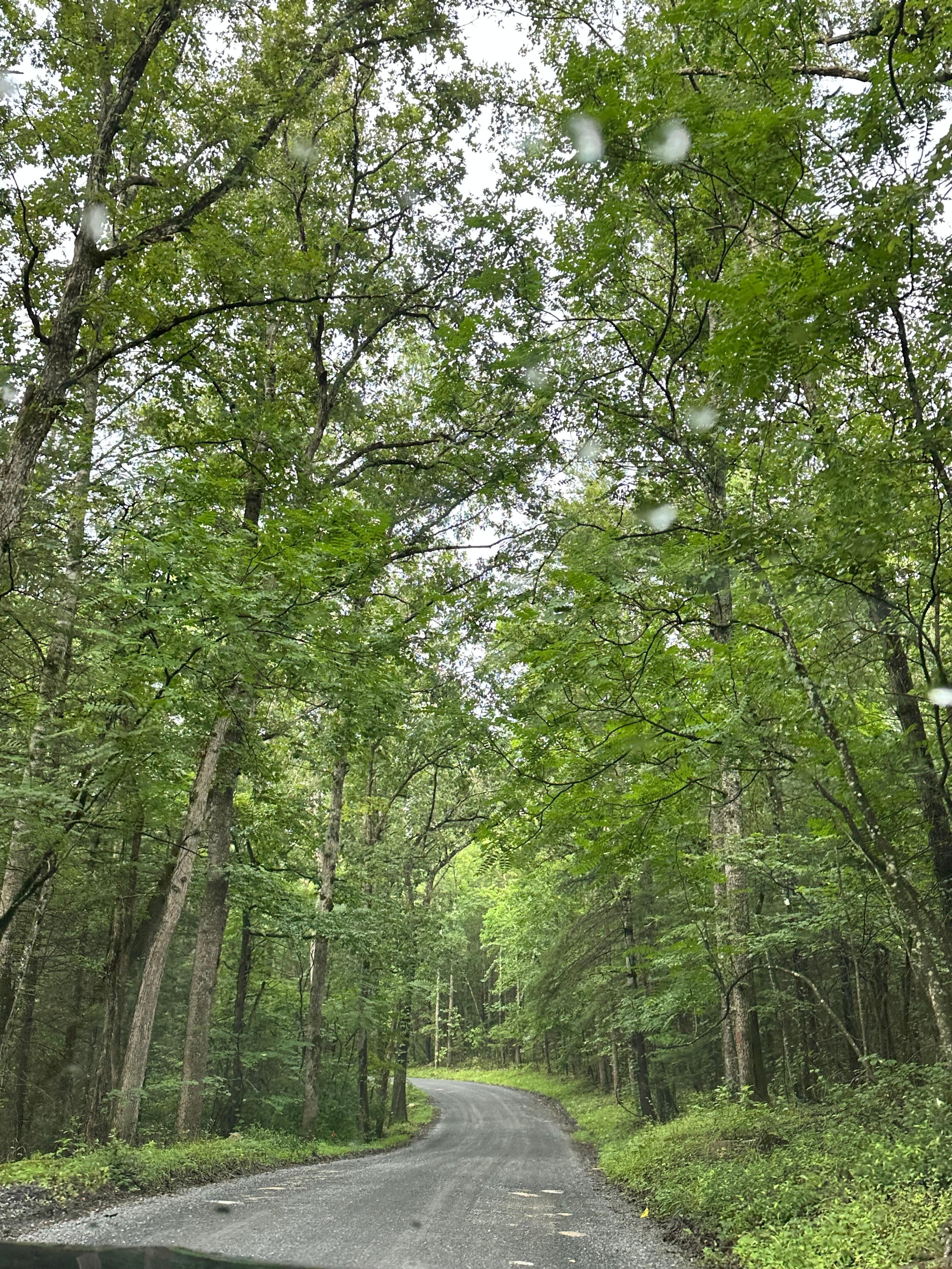 On the drive to the house