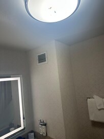 Bathroom light fixer had multiple dead bugs inside it.