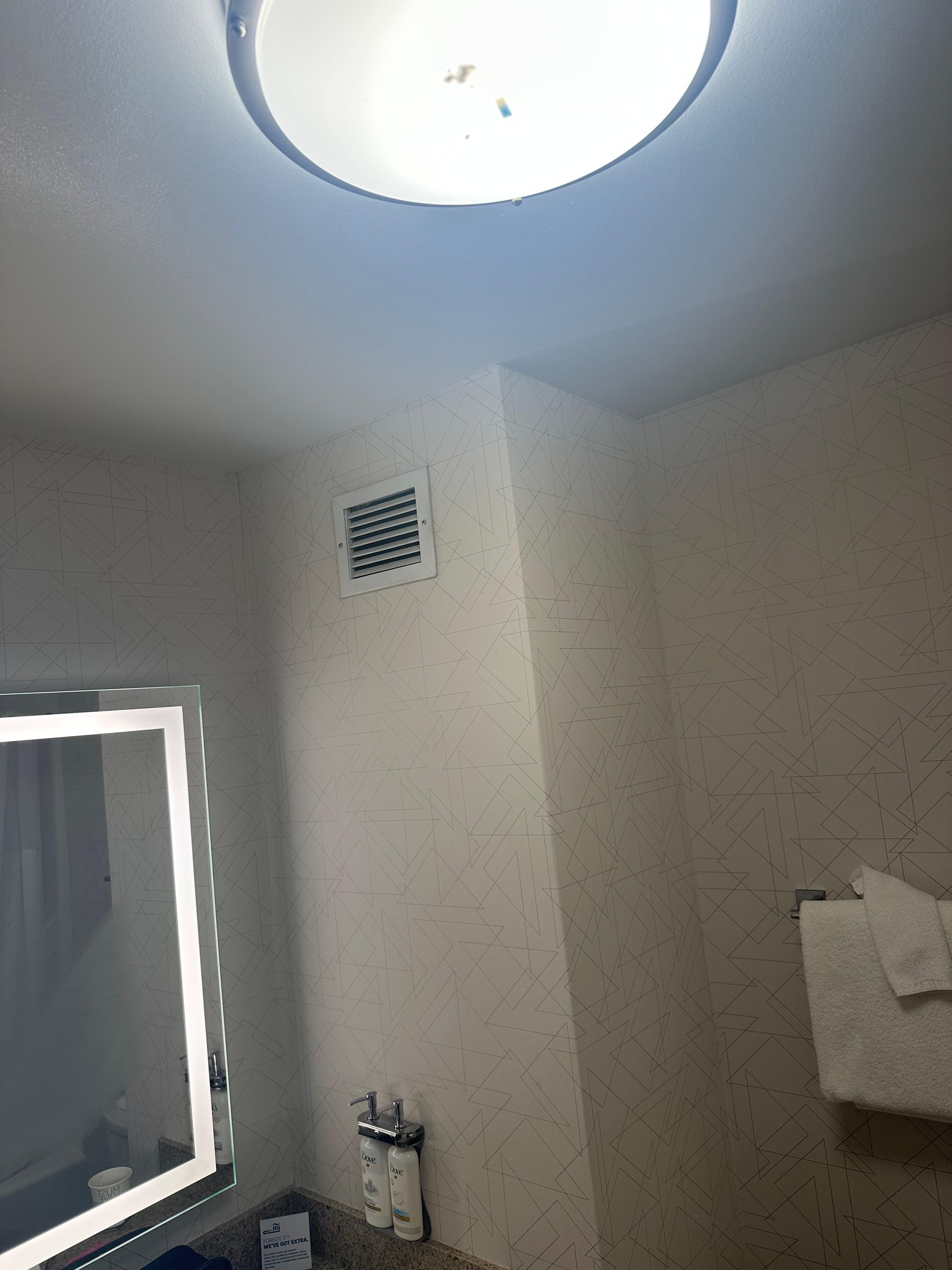 Bathroom light fixer had multiple dead bugs inside it. 
