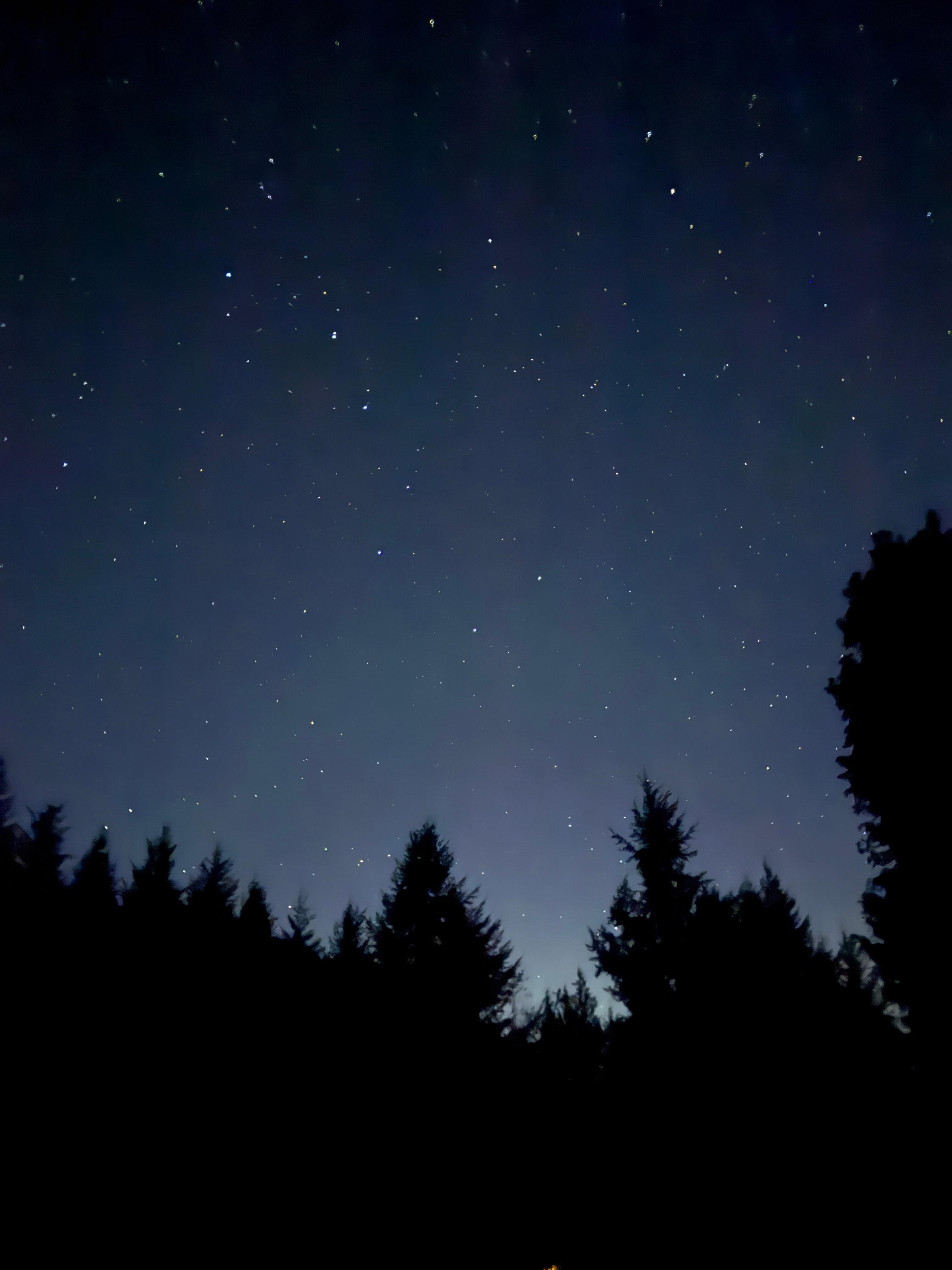 Beautiful view of the stars! 