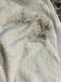 towel