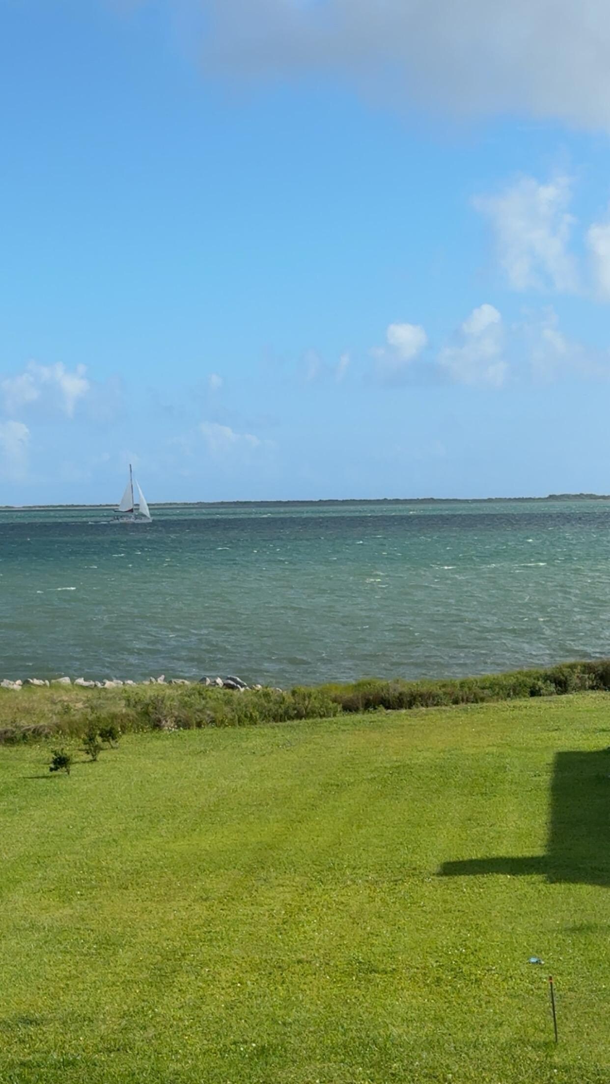 View from back deck