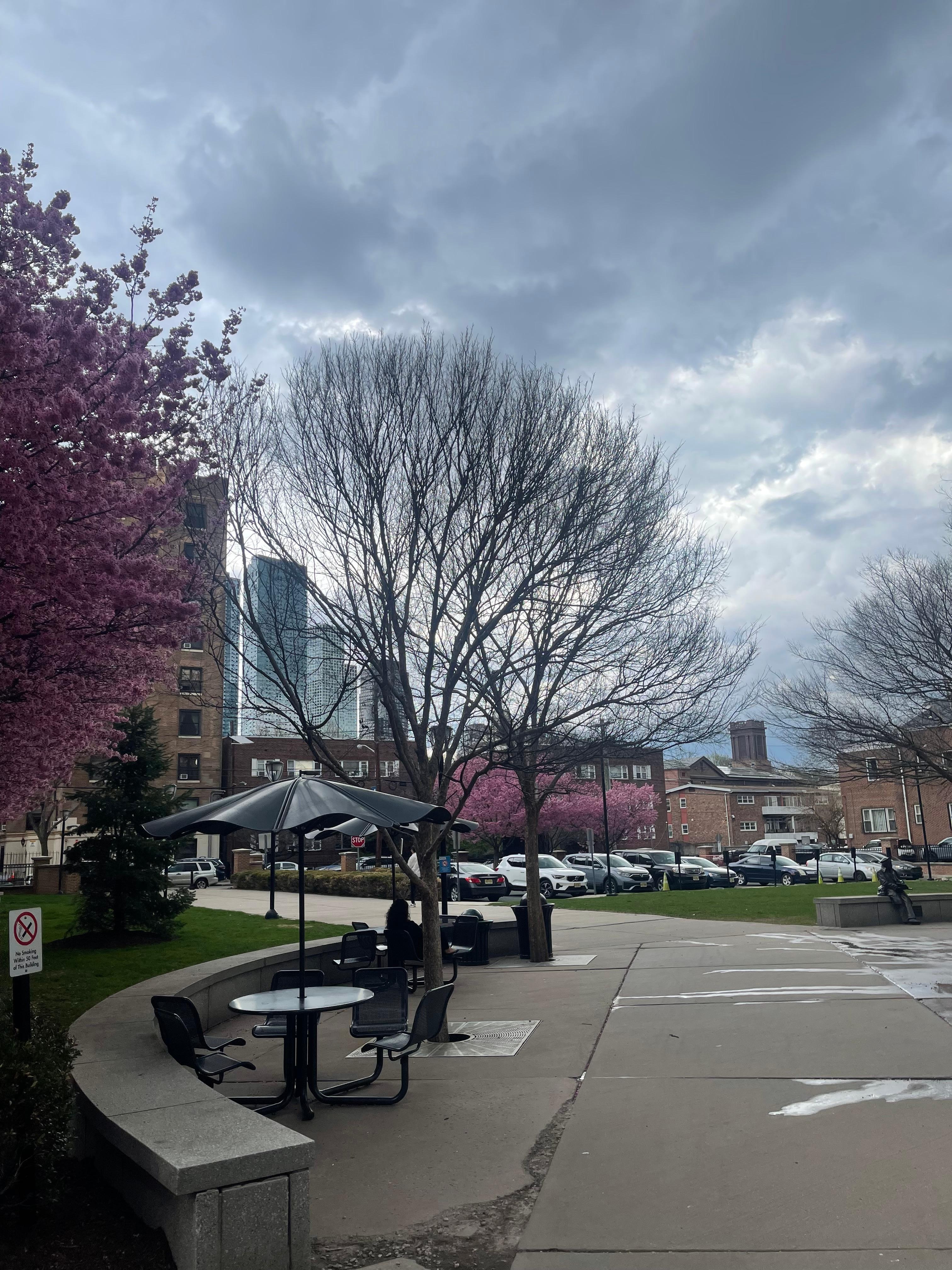 The neighborhood close by