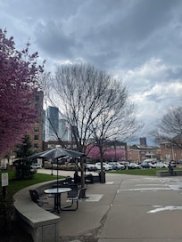 The neighborhood close by