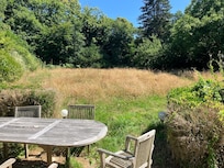 jardin en friche