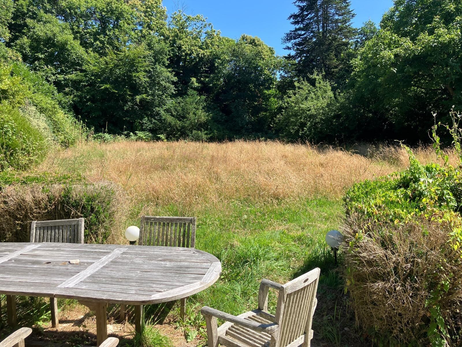 jardin en friche