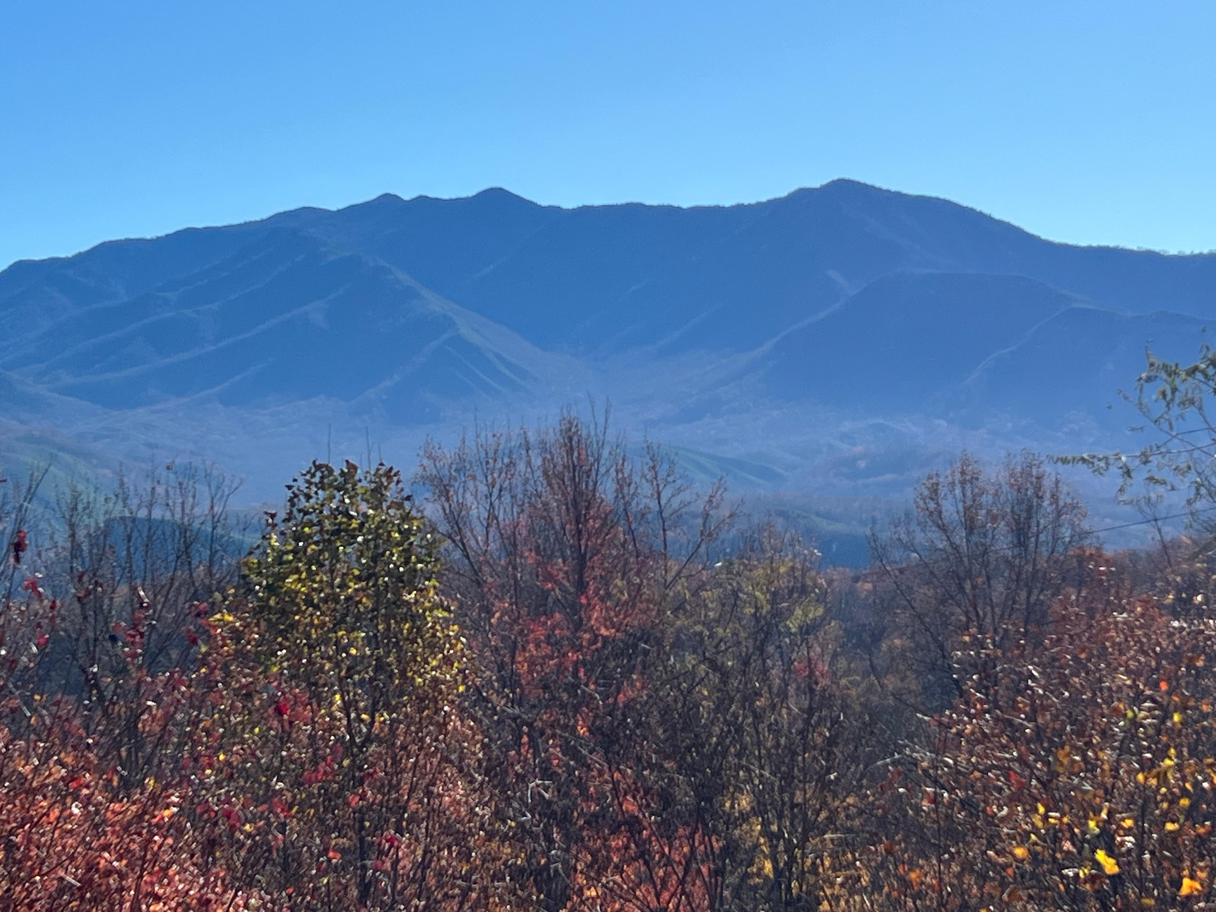 View of Mt. LeConte