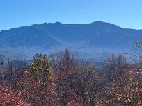 View of Mt. LeConte