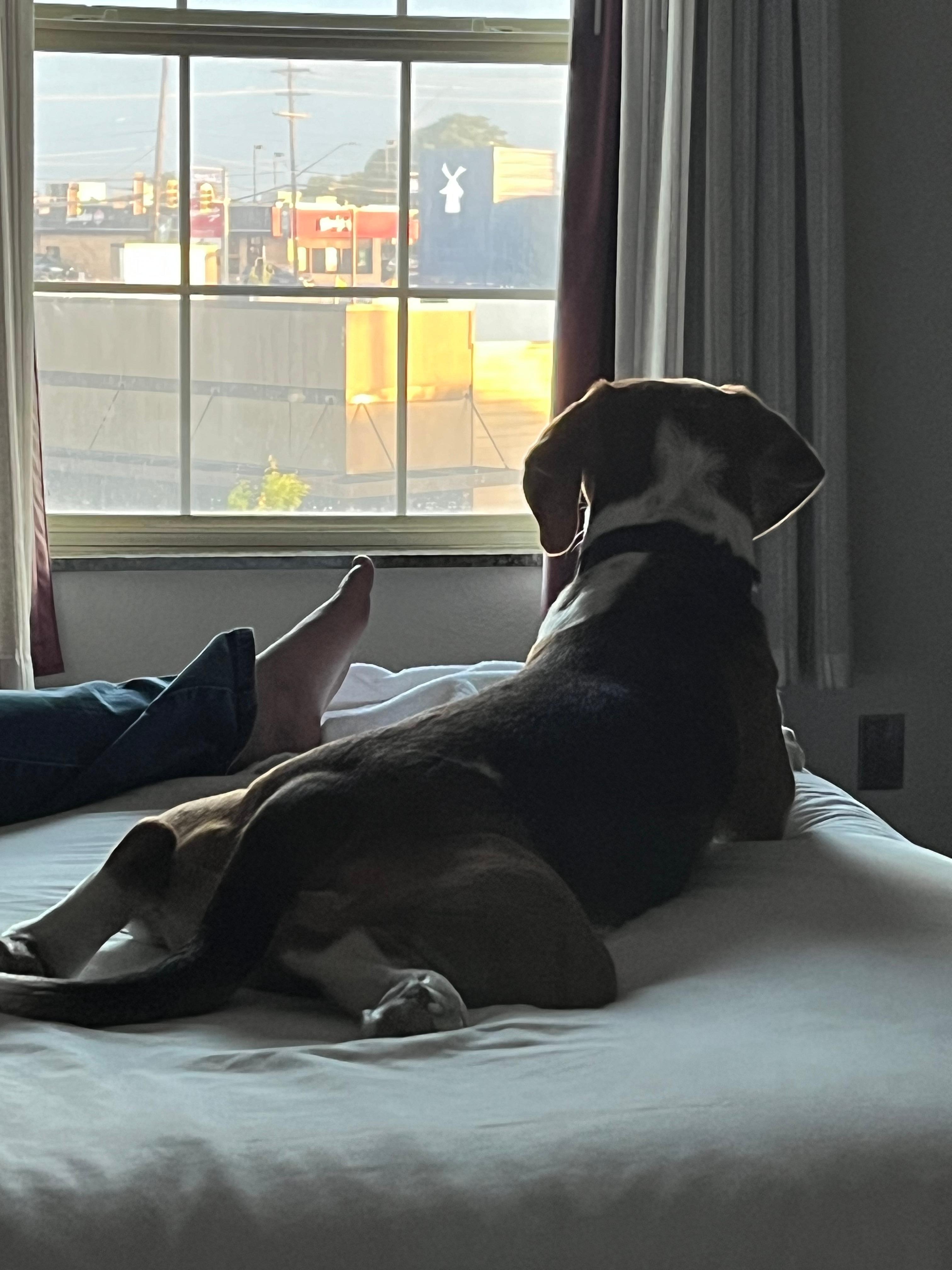 Buddy takes San Antonio