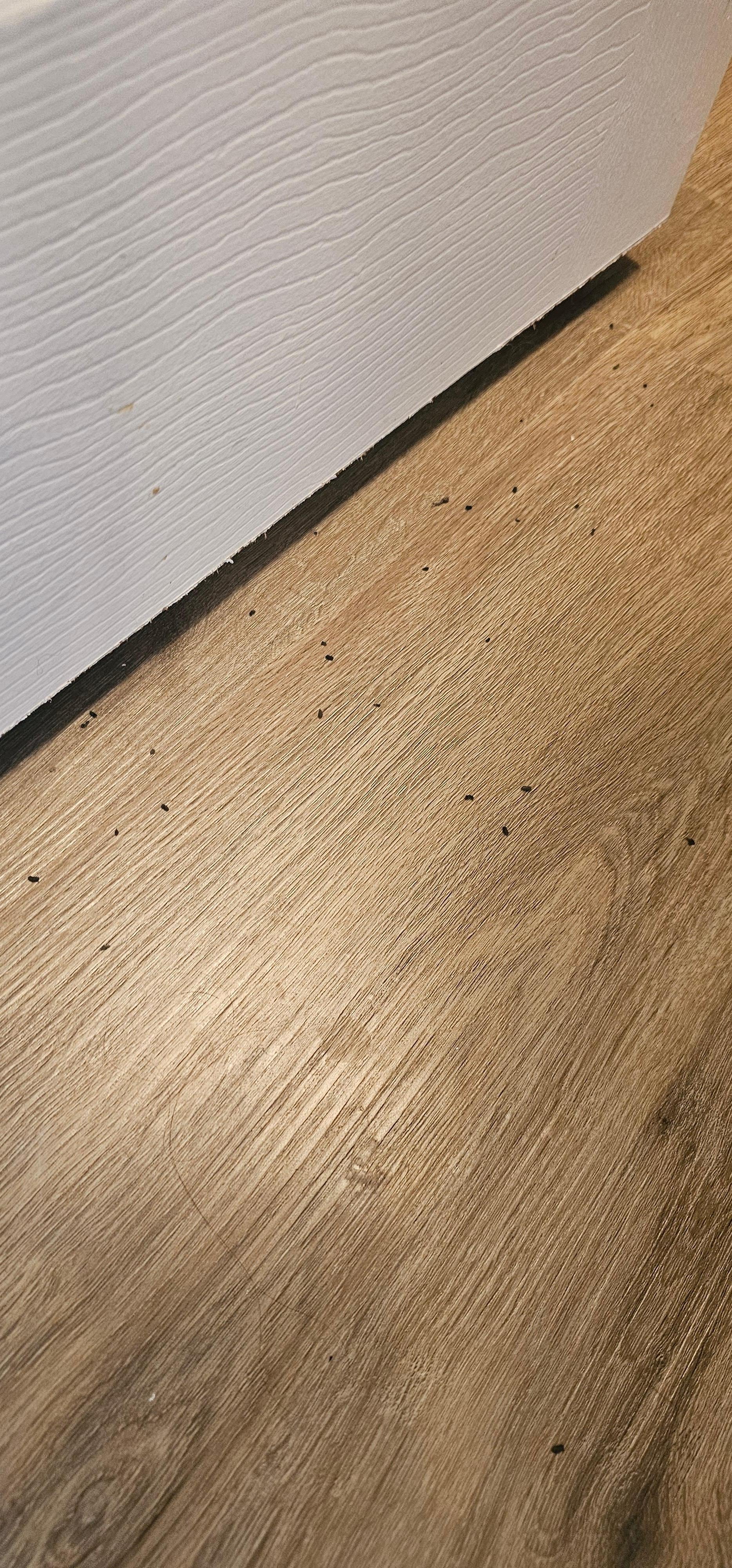 Master Bedroom Bathroom Floor 