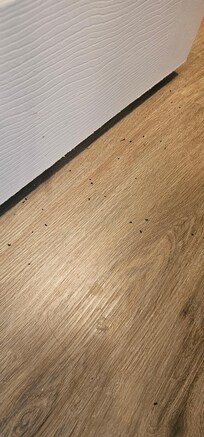 Master Bedroom Bathroom Floor