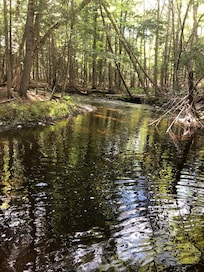 Beautiful brook hike on property.