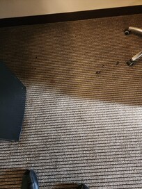Room carpet stain