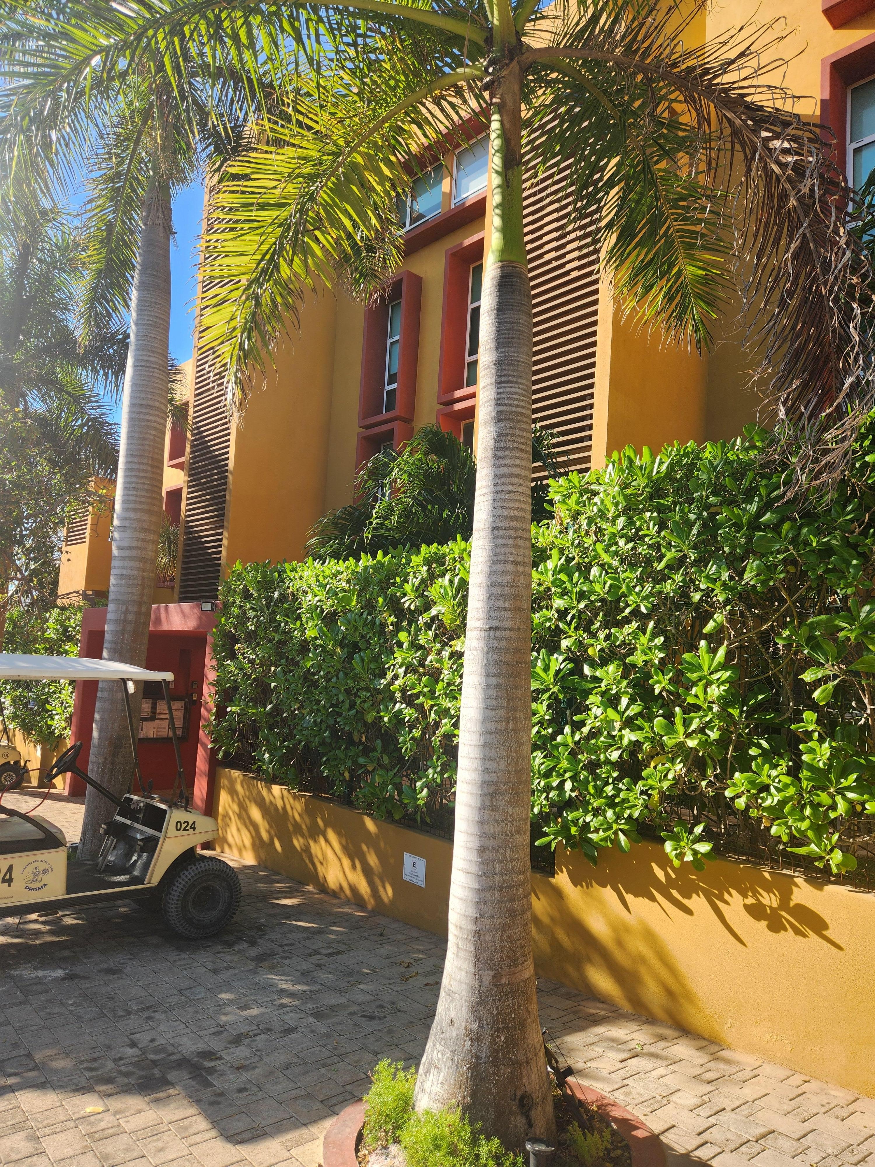 Lots of parking for golf carts