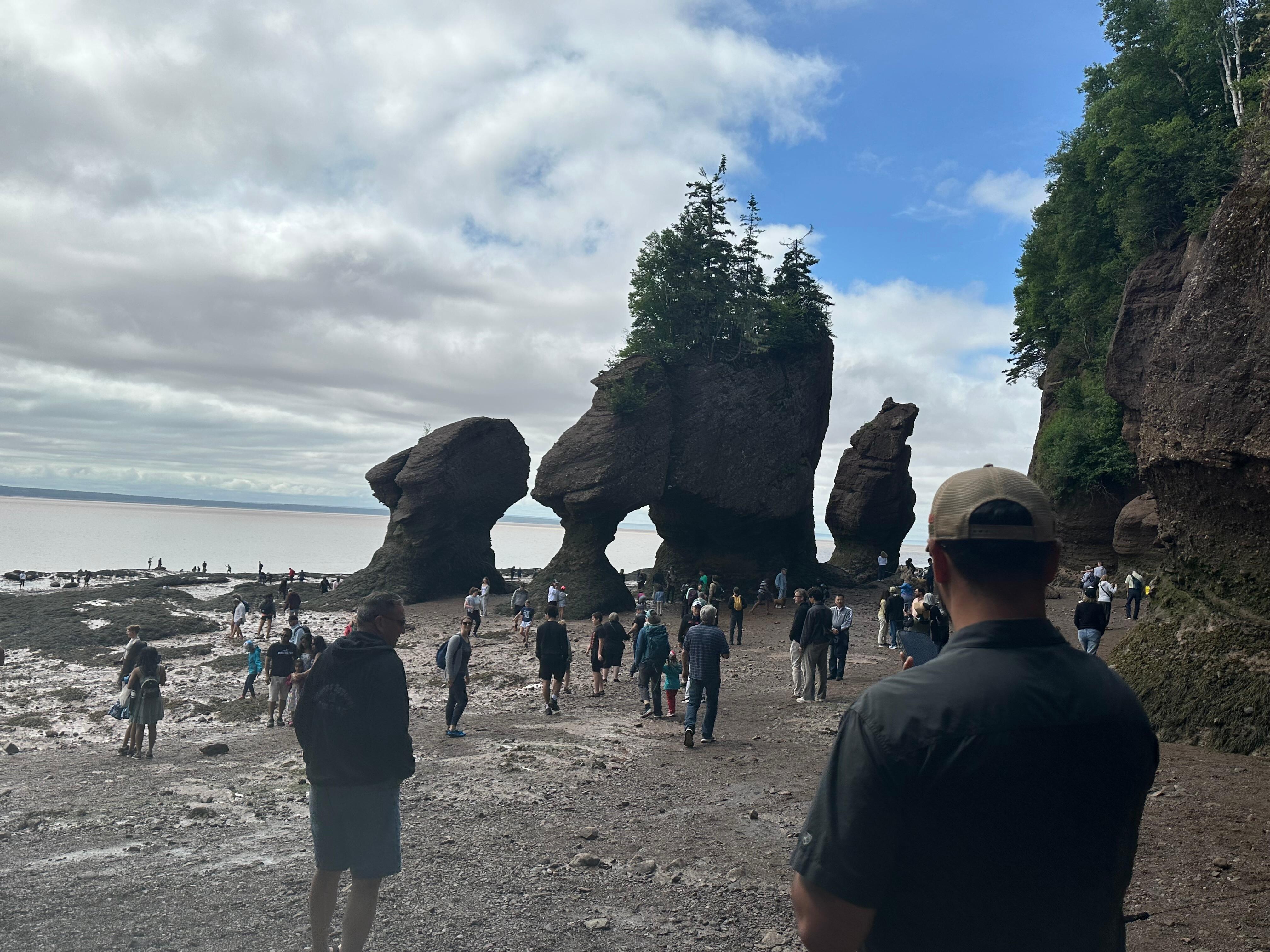 Hopewell rocks, low tide