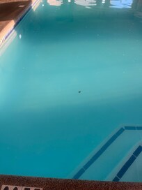 Indoor pool was not so clean