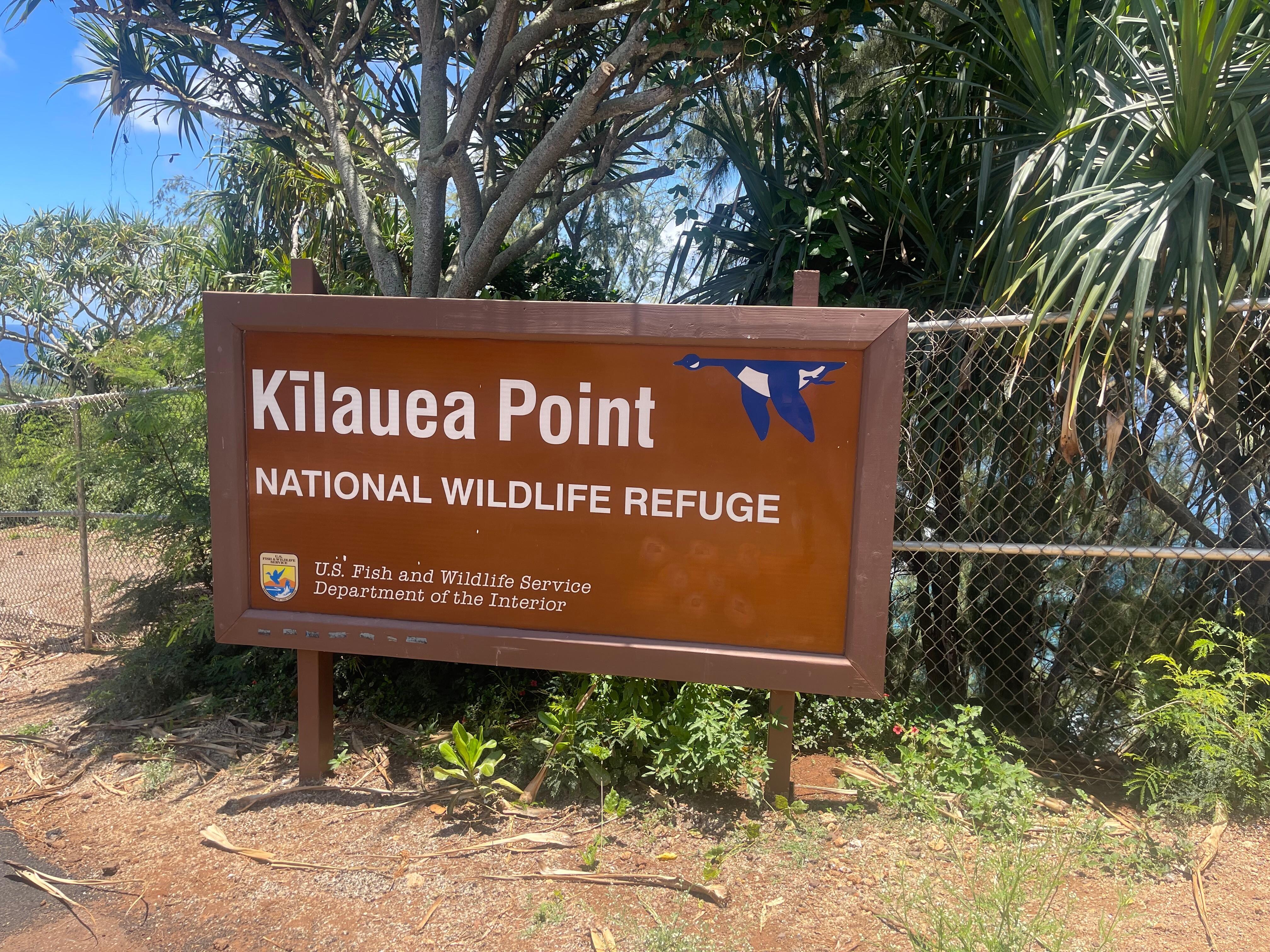 Kīlauea Point is open Wednesdays
