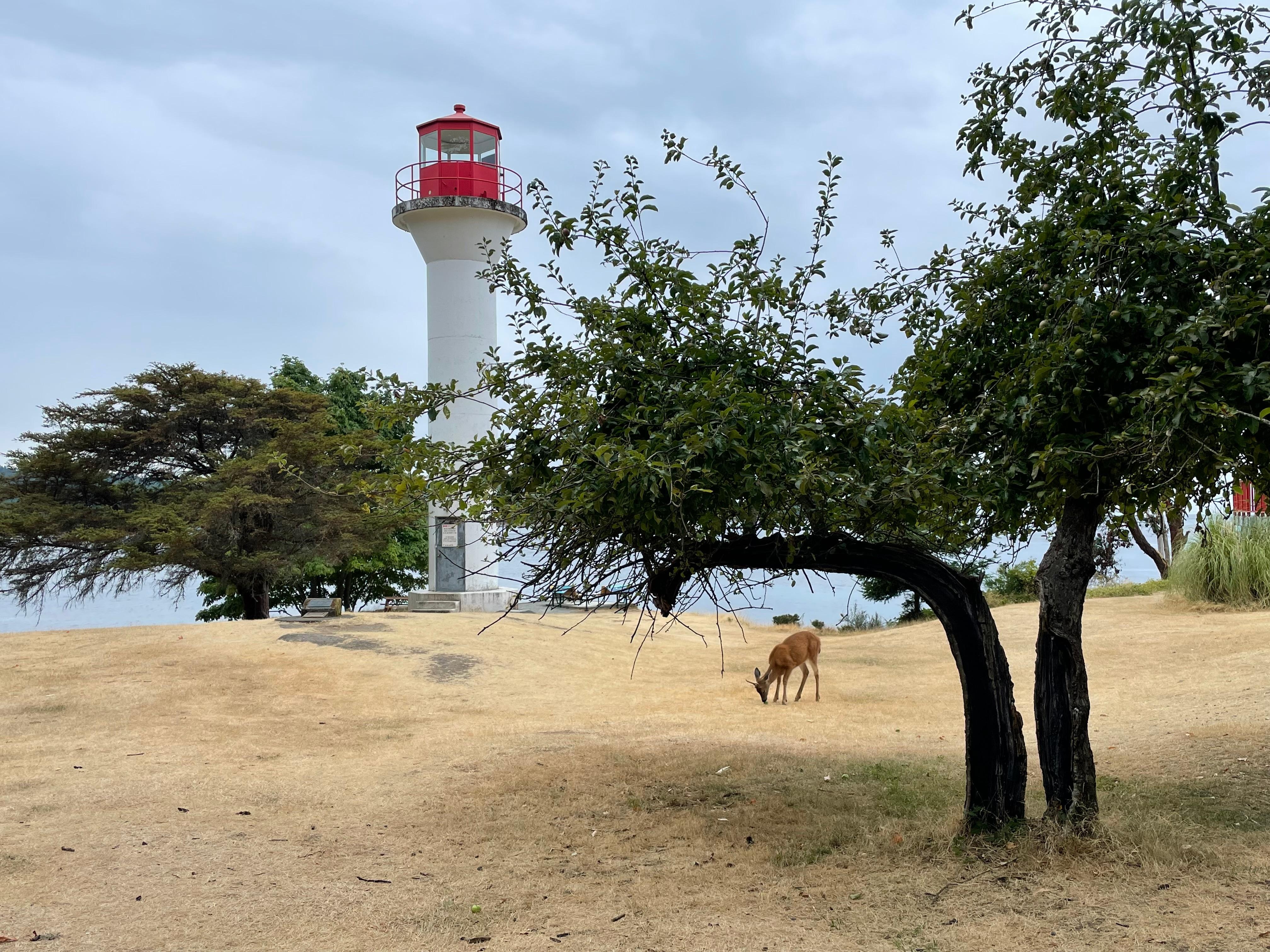 At the lighthouse nearby 