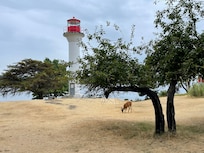 At the lighthouse nearby