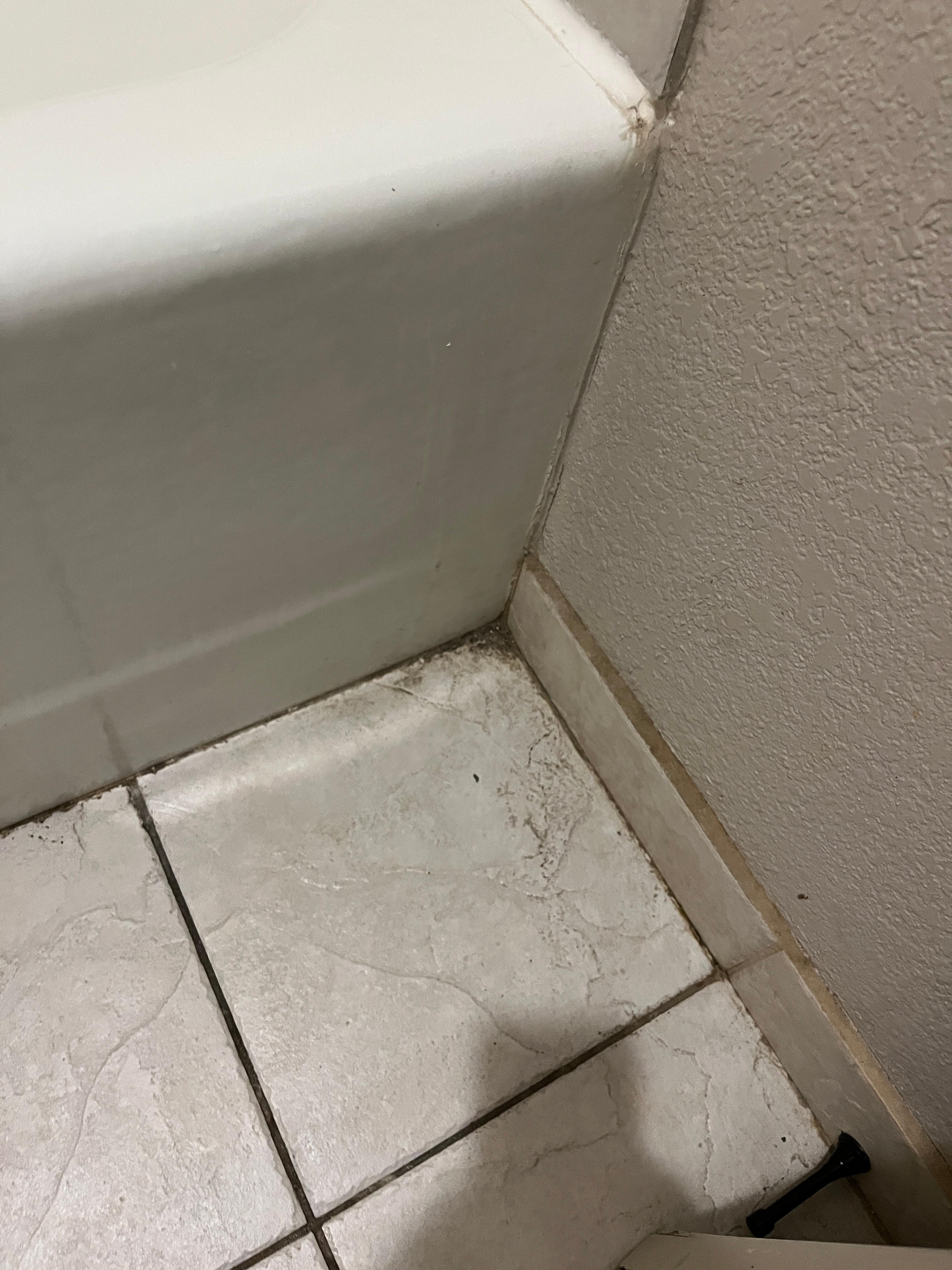 The bathroom floor was filthy.