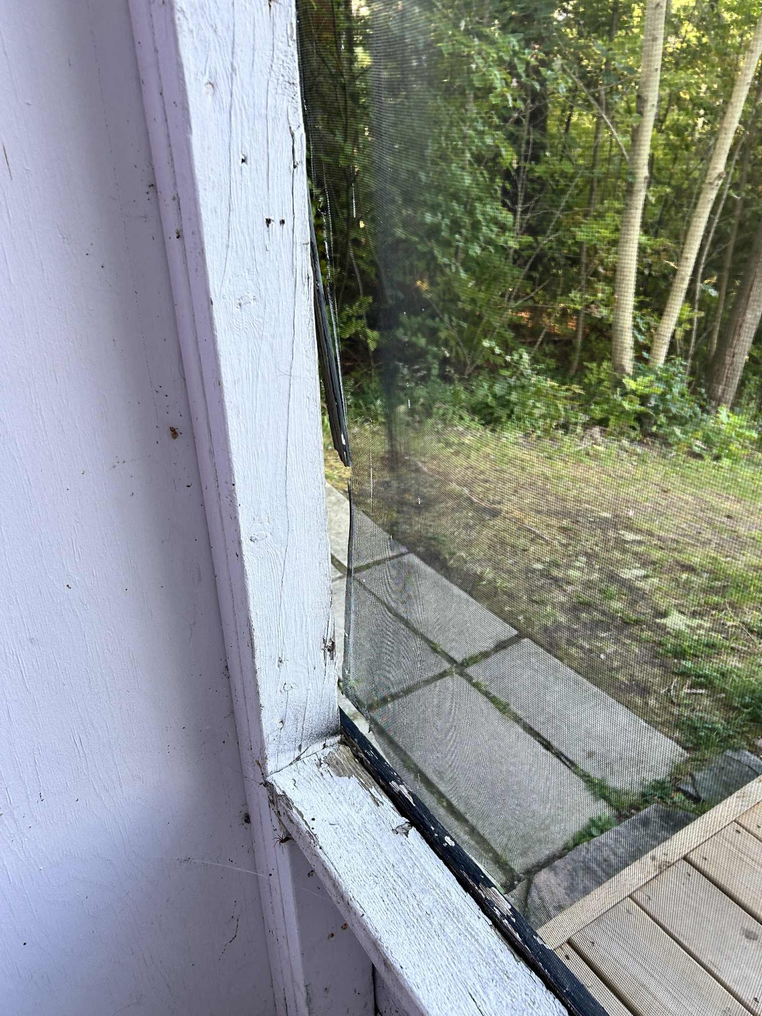 Ripped screens in sitting area 