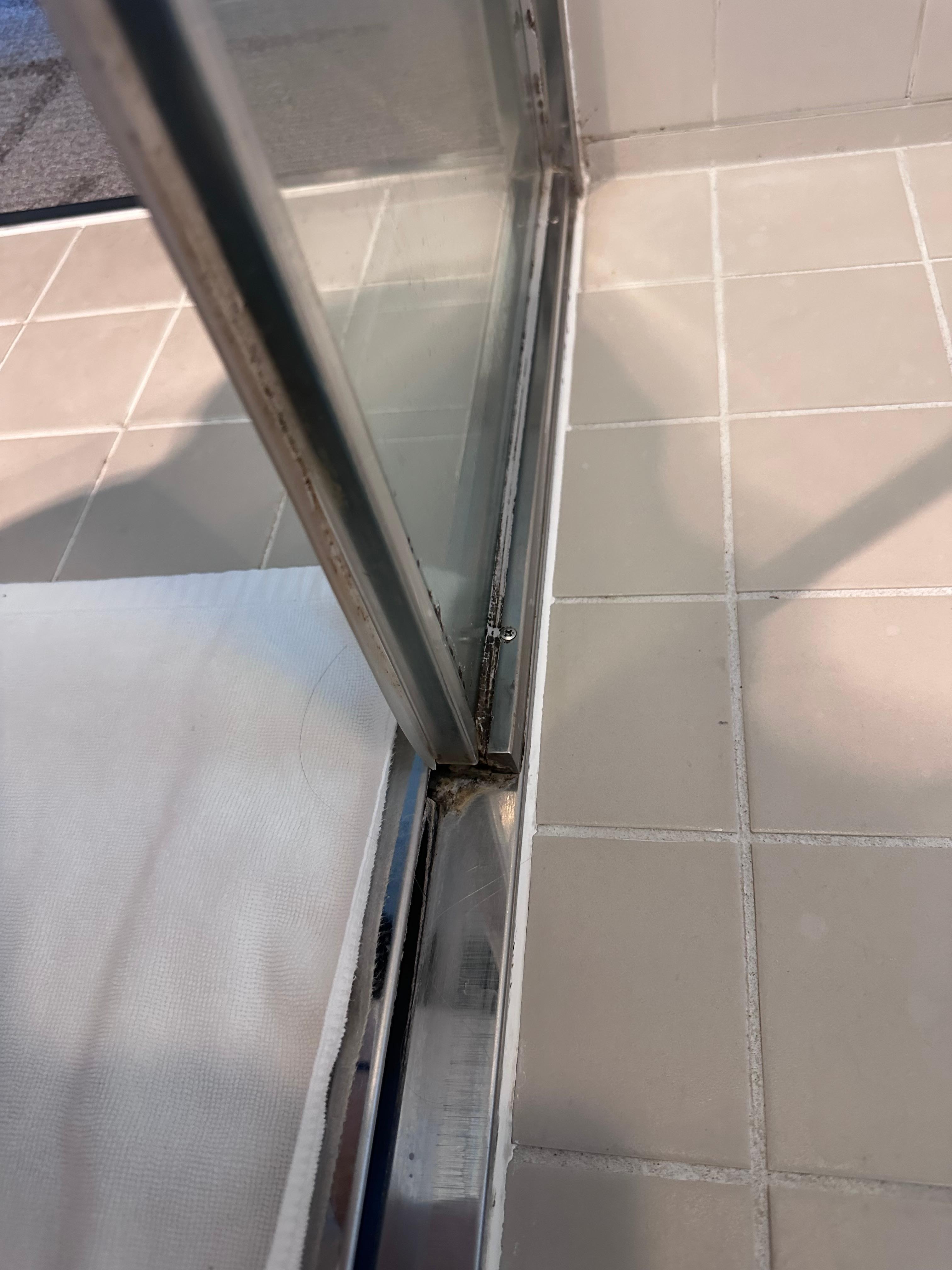 Black mold everywhere 