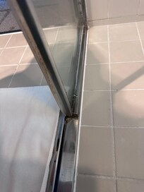 Black mold everywhere