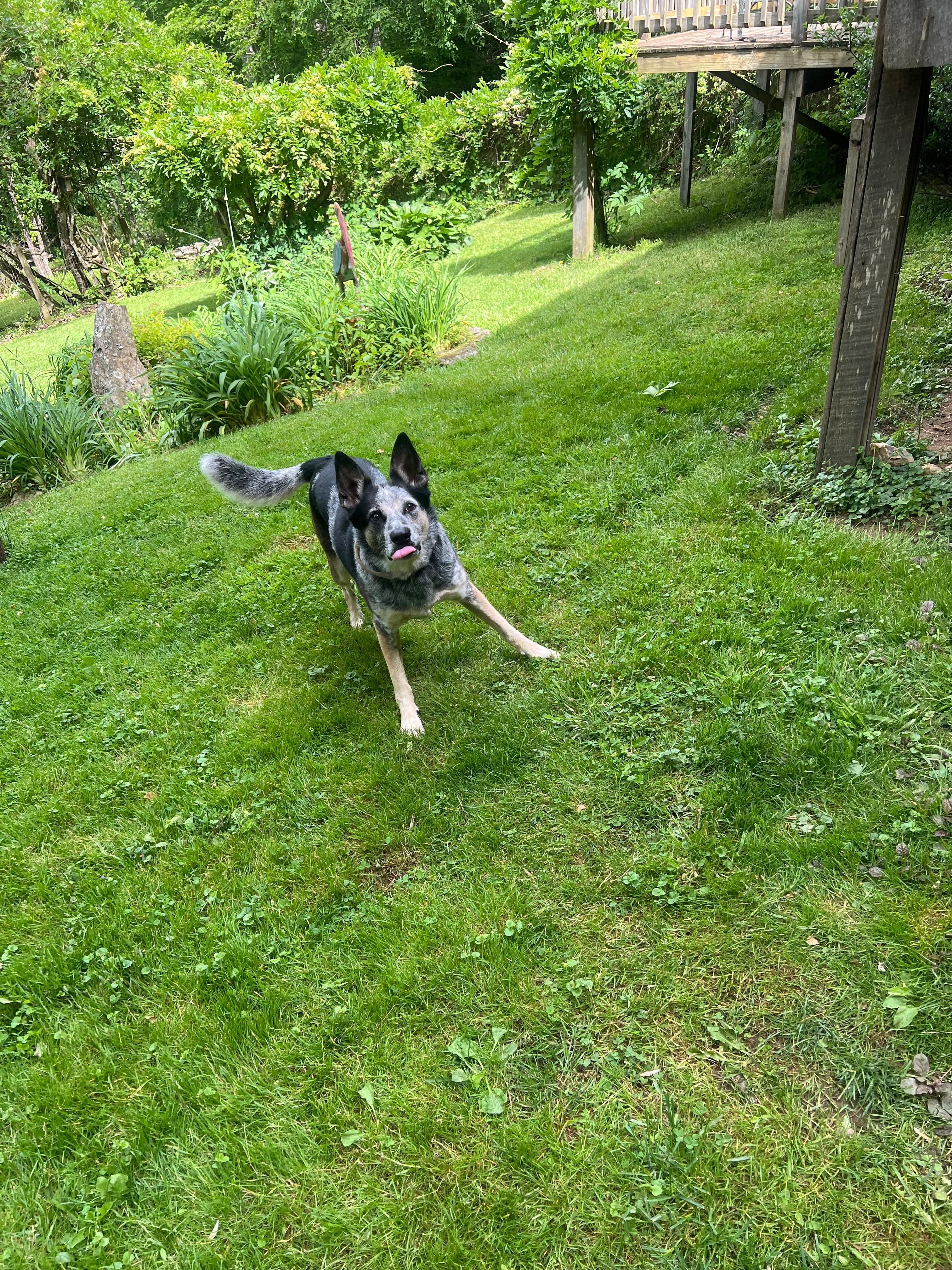 Playing ball in the front yard with mom