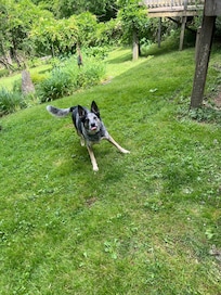 Playing ball in the front yard with mom