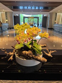 Lobby area