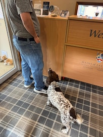 Tootsie was the best greeter you could ask for!